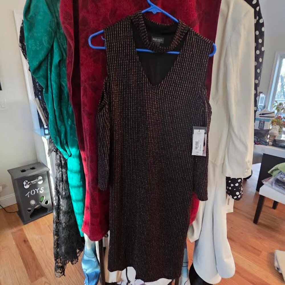 Bold Elements cut to curve sparkly dress